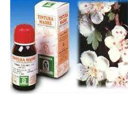 specchiasol named biancospino 10 50ml tm specchiasol ean 8002738820549