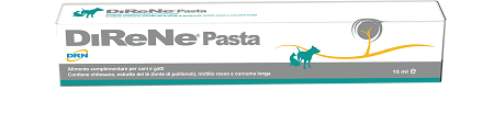 drn direne pasta 15 ml ean 8032644300880