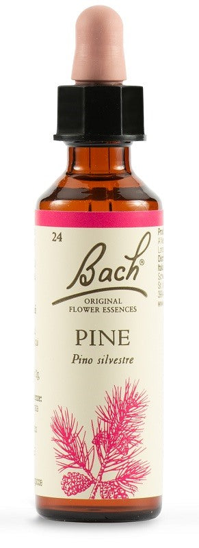 schwabe pharma italia pine bach orig 20 ml schwabe pharma italia ean 5000488300420