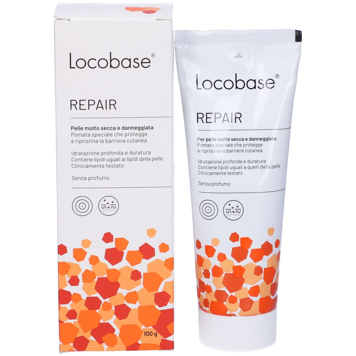 Locobase Réparation 100 G Locobase
