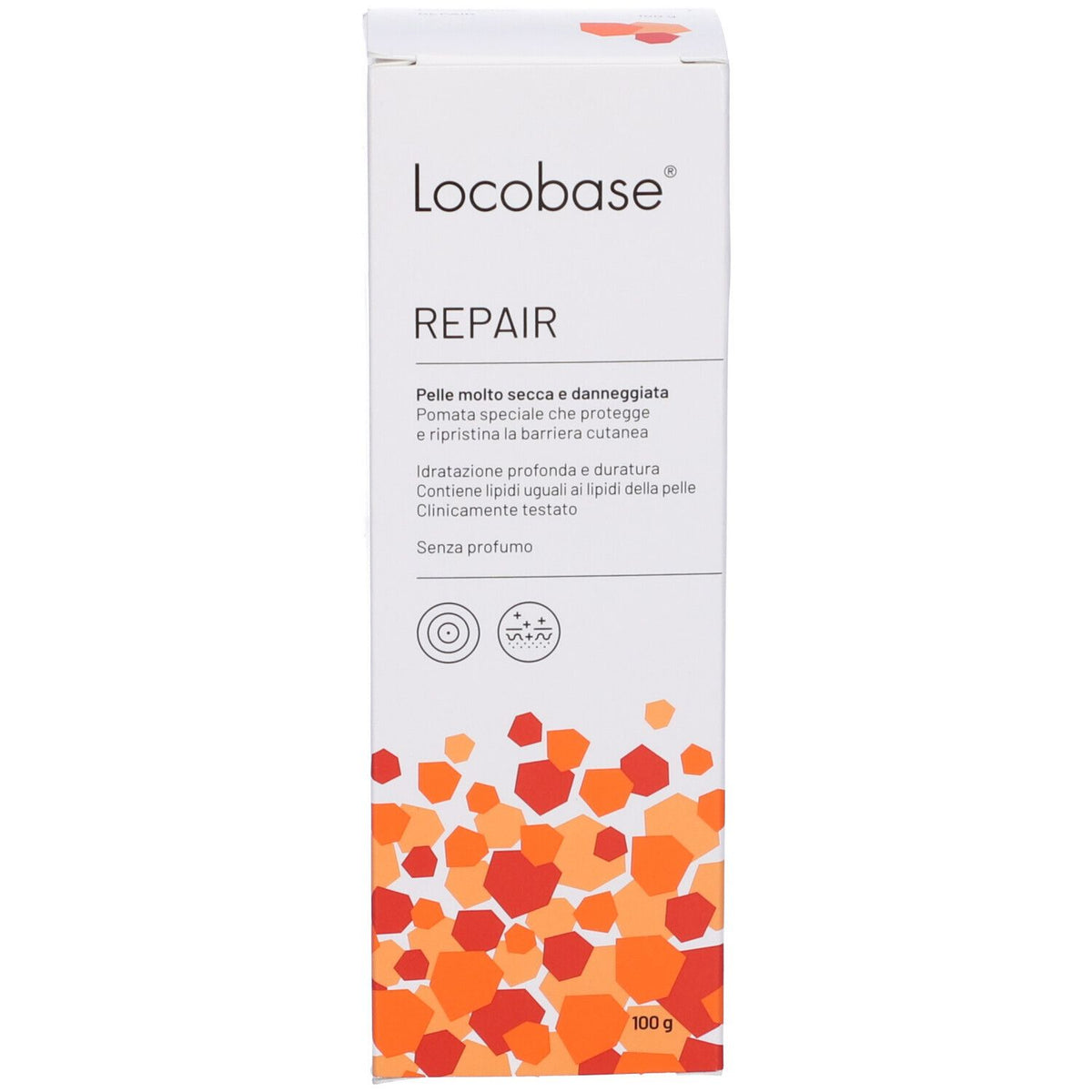 Locobase Réparation 100 G Locobase