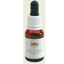 bush biotherapies macrocarpa australian bush 15 ml