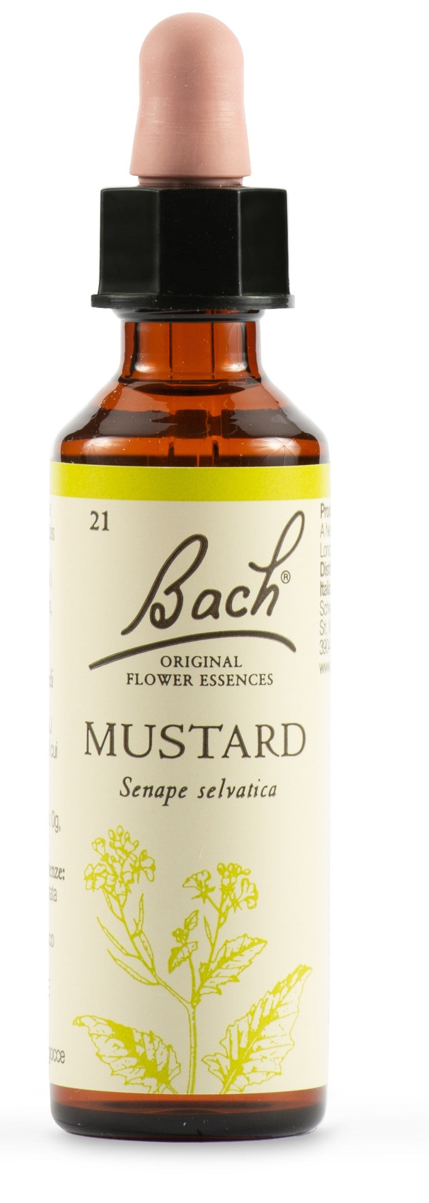 schwabe pharma italia mustard bach orig 20 ml schwabe pharma italia ean 5000488300390
