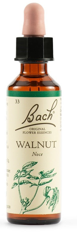 schwabe pharma italia walnut bach orig 20 ml schwabe pharma italia ean 5000488300512