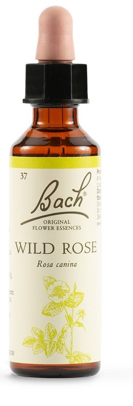 schwabe pharma italia wild rose bach orig 20 ml schwabe pharma italia ean 5000488300550