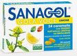named sanagol gola voce senza zucchero limone 24 caramelle named ean 8051490300646