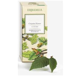 erbamea betula verrucosa linfa gemmoderivato bio 50 ml erbamea ean 8032841633019