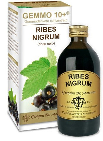 giorgini ser vis gemmo 10 ribes nero 200 ml liquido analcolico giorgini ean 8051827614132