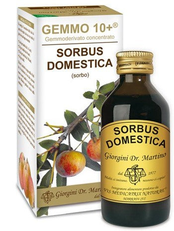giorgini ser vis sorbo analco gemmo 10 100 ml giorgini ean 8051827614361