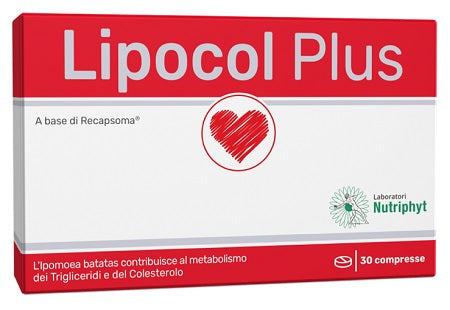anvest health lipocol plus 30 compresse lipocol ean 8050880190355