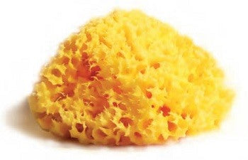 budetta farma spugna naturale mediterranea laboratori atenei 16 budetta farma