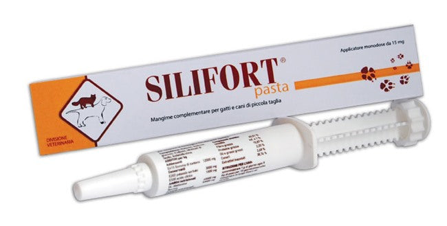 ddfarma silifort pasta os siringa 30 g silifort