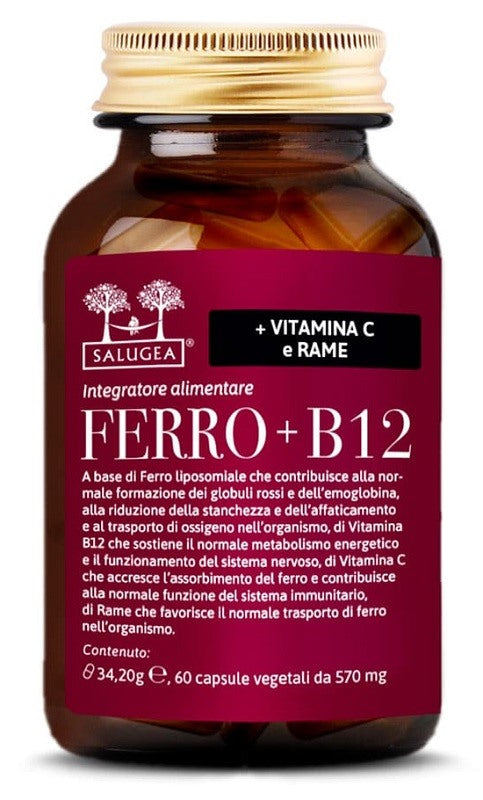 salugea reload salugea ferro b12 60 capsule ean 8059591580790