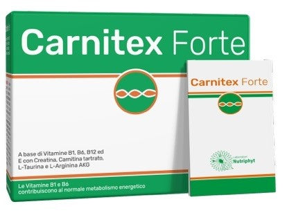 anvest health carnitex forte 14 bustine ean 8050880190591