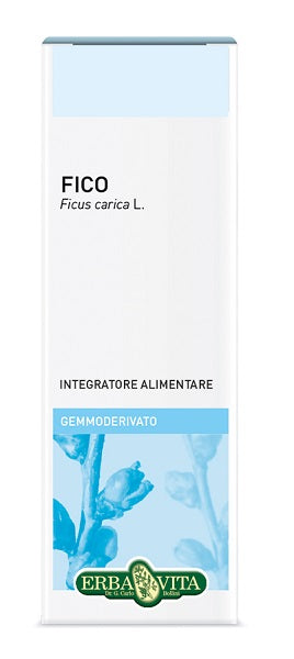 erba vita group gemmoderivato fico 50 ml erba vita ean 0767787926380