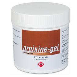 fm italia group arnixine gel 750 ml ean 8022132006448