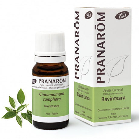 herbalgem italia pranarom ravintsara olio essenziale bio 10 ml pranarom ean 5420008516559