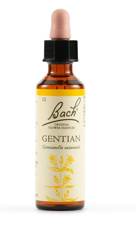 schwabe pharma italia gentian bach orig 20 ml schwabe pharma italia ean 5000488300307