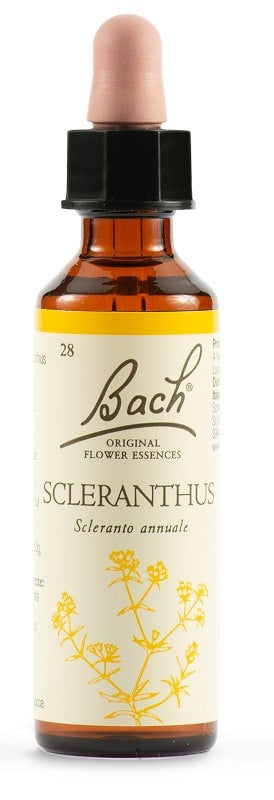 schwabe pharma italia sclerantus bach orig 20 ml schwabe pharma italia ean 5000488300468